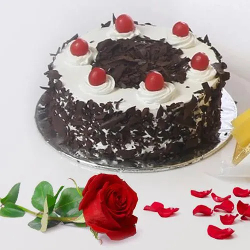 Order Black Forest Cake N Red Rose