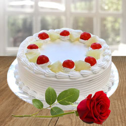 Finest Vanilla Cake and a Fresh Red Rose Finest Vanilla Cake and a Fresh Red Rose
