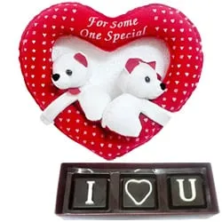 Deliver Twin Teddy and Homemade Chocolate