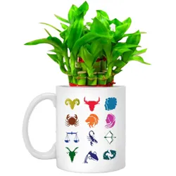Shop for Sun Sign Mug with Lucky Bamboo Tree