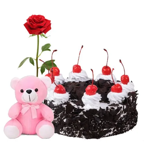 Buy Red Rose with Black Forest Cake N Teddy