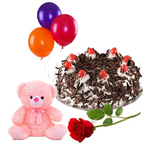Shop for Black Forest Cake, Teddy, Red Rose N Teddy