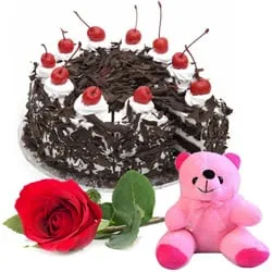 Deliver Black Forest Cake with Red Rose N Teddy