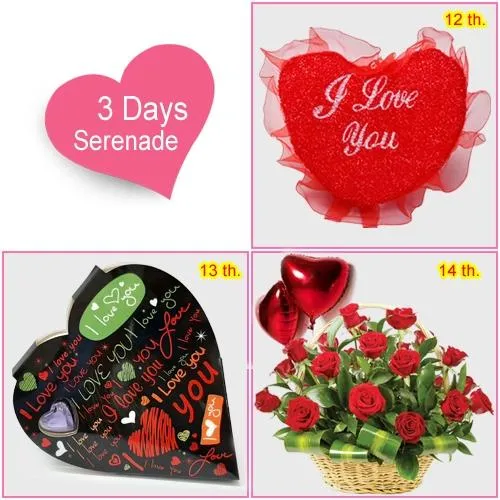Send 3 Day Serenade Gift for Lady love