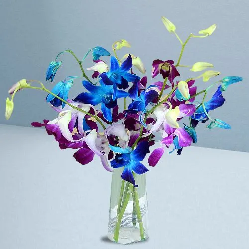 Vibrancy of Blue n Purple Orchids in a Vase
