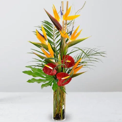 Oriental Wonders BOP n Anthuriums Arrangement