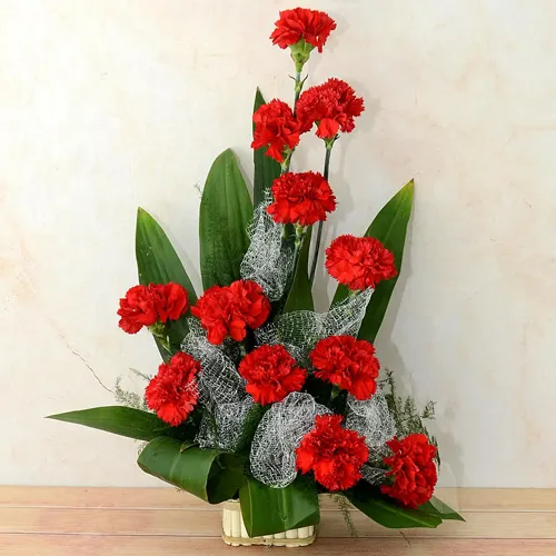 Order Online Bouquet of Carnations