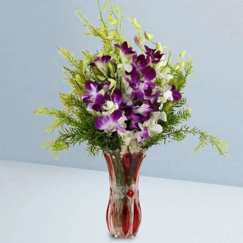 Magnificent Purple n White Orchids in Vase