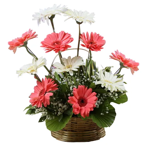 Order Online Bouquet of Assorted Gerberas