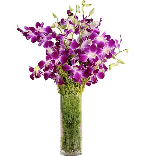 Send Orchids in a Glass Vase Online