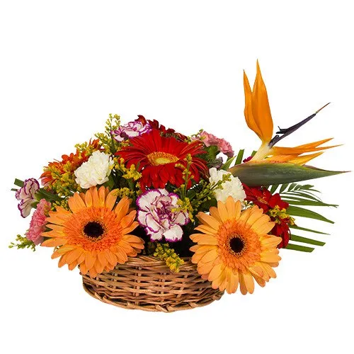 Online Order Carnation N Gerberas Basket