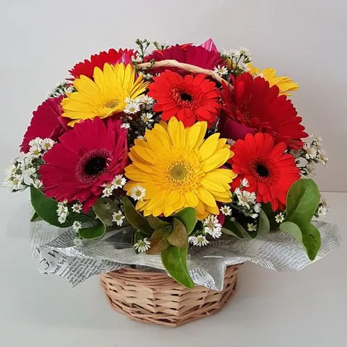 Book Online Basket of Mixed Gerberas