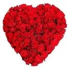 Deliver Dutch Roses in Heart Shape Arrangement