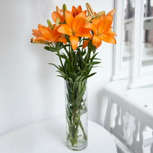 Book Mixed Lilies in a Vase Online