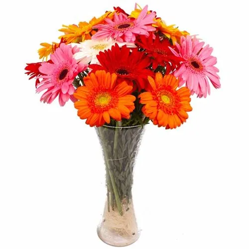 Order Online Gerberas in a Glass Vase