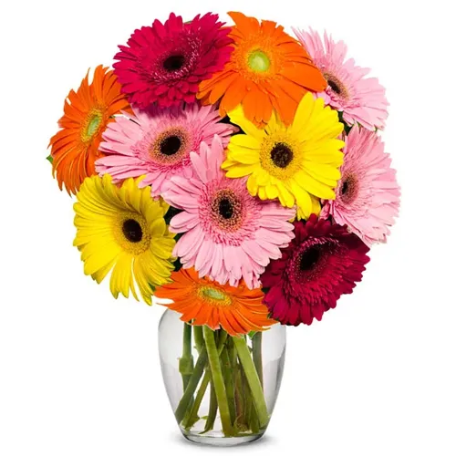 Send Mixed Gerberas in a Glass Vase Online
