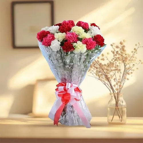 Buy Bunch of Mixed Carnations Online