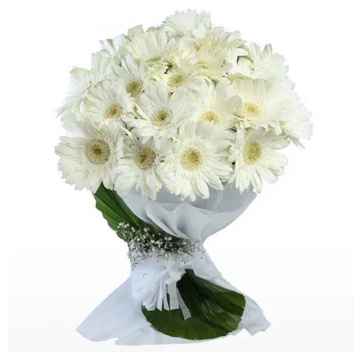 Deliver White Gerberas Bouquet Online