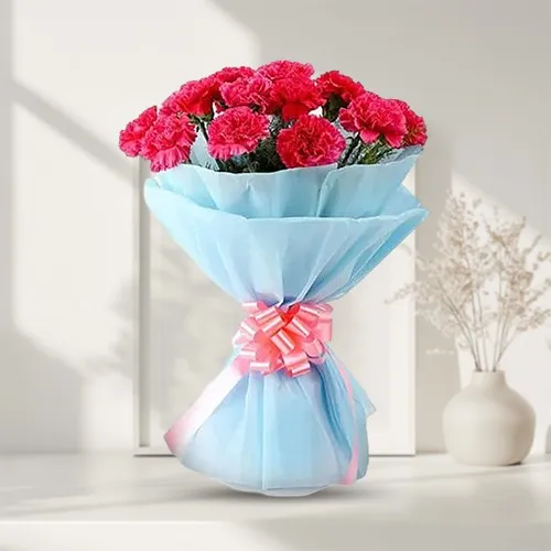 Buy Bundle of Pink Carnations Online
