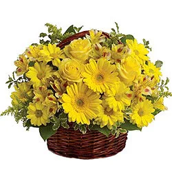Shop Yellow Flowers Basket Online