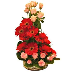 Deliver Gerberas and Roses Arrangement