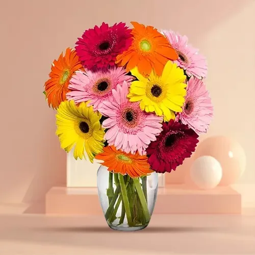 Order Online Gerberas in a Glass Vase