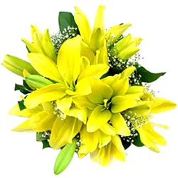Deliver Yellow Lilies Bouquet for Anniversary