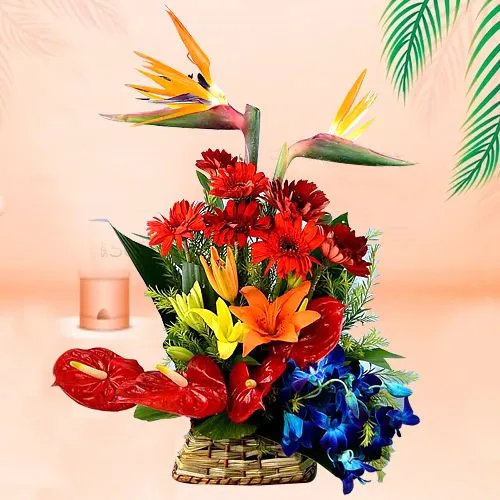 Visually Stimulating 23 Mixed Flower Basket
