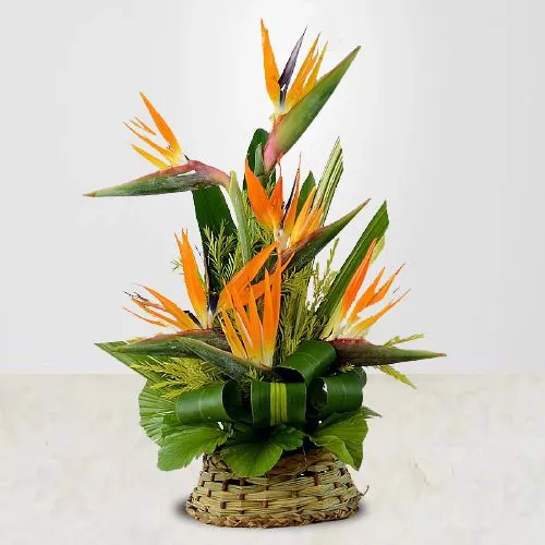 Alluring Six Birds of Paradise Basket