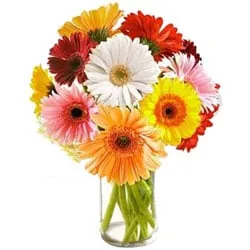 Buy Online Mixed Gerberas in a Glass Vase