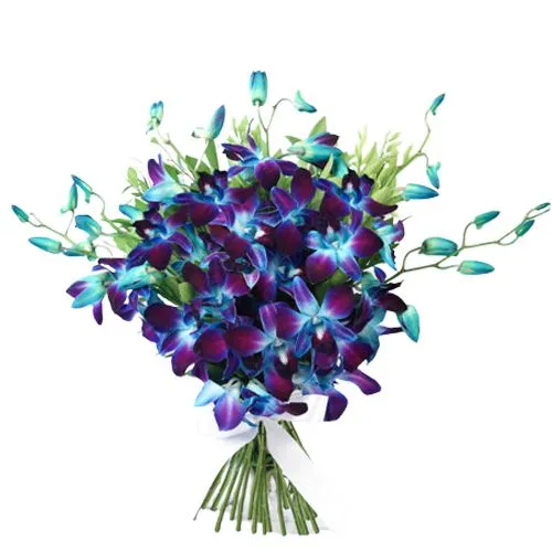 Book Online Blue Orchids Bouquet