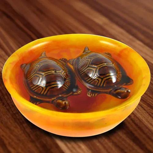 Buy Fengshui Bowl with  Tortoise