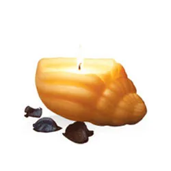 Online IRIS Sea Shell Aroma Candle Set