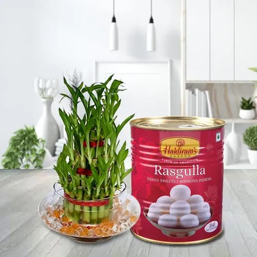 Shop for 2 Tier Lucky Bamboo Plant with Haldirams Rasgulla