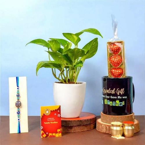 Evil Rakhi Money Plant N Assortments