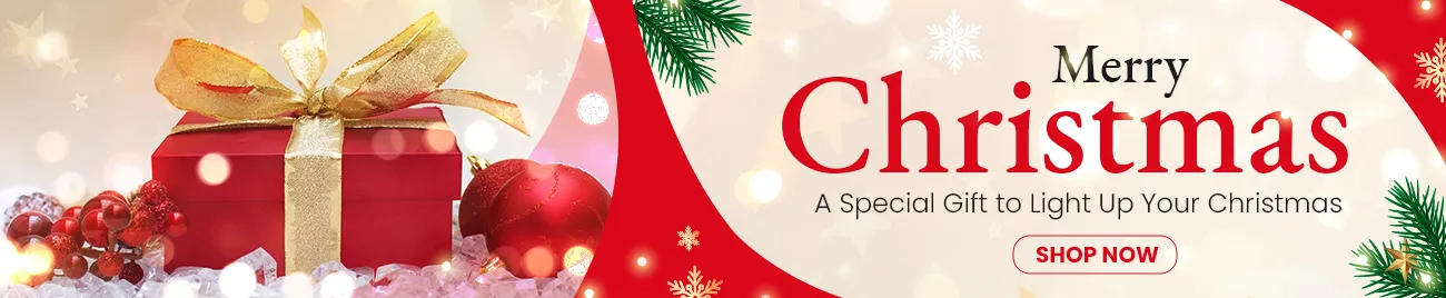 Christmas Gifts To Delhi