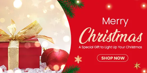 Christmas Gifts To Delhi